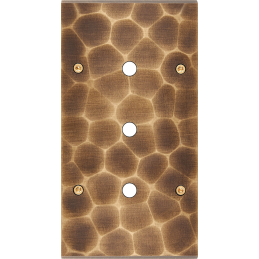 Placa de interrutor...