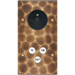 Placa de interrutor...