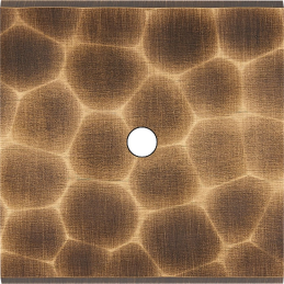 Switch plate Fascination...