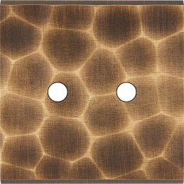 Switch plate Fascination...