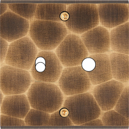 Placa del interruptor...