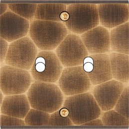 Placa del interruptor...