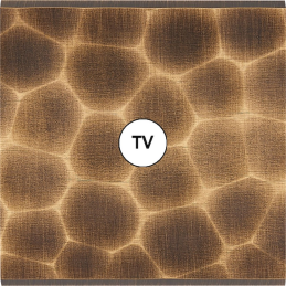 Placa de interrutor...