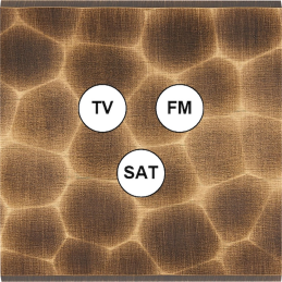 Switch plate Fascination...