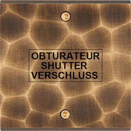 Placa del interruptor...