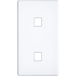 Placa del interruptor...