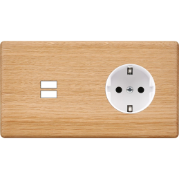 Placa del interruptor...