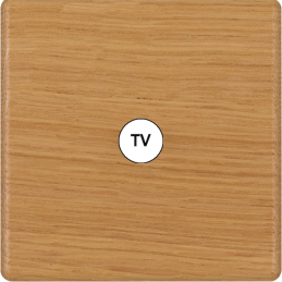 Placa del interruptor...