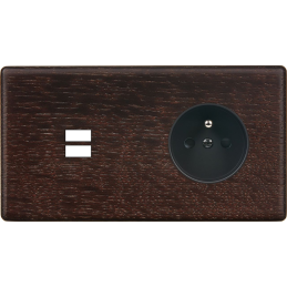 Placa del interruptor...