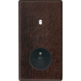 Placa del interruptor...