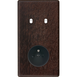 Placa del interruptor...