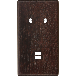 Placa del interruptor...