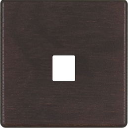 Placa del interruptor...