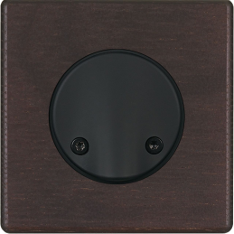 Placa del interruptor...