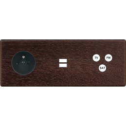 Placa del interruptor...