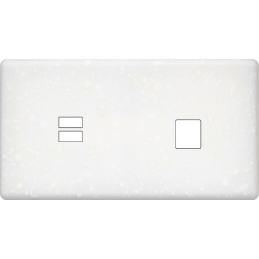 Placa del interruptor...