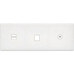 Placa del interruptor...