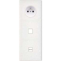 Placa del interruptor...