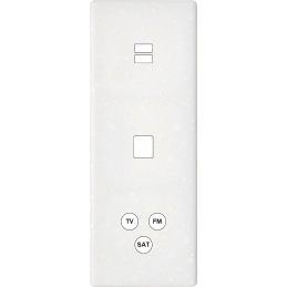 Placa del interruptor...