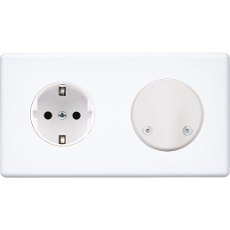 Placa del interruptor...