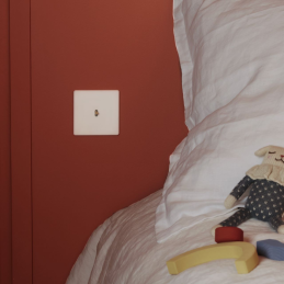 Placa del interruptor...