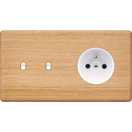 Placa del interruptor...