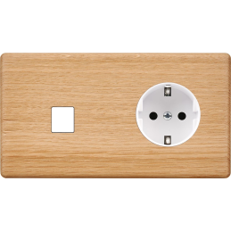 Placa del interruptor...