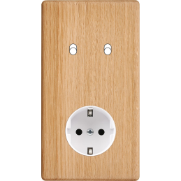 Placa del interruptor...