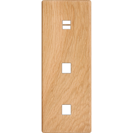 Placa del interruptor...