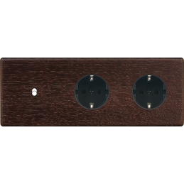 Placa del interruptor...