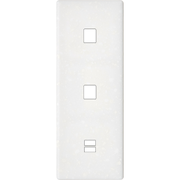 Placa del interruptor...