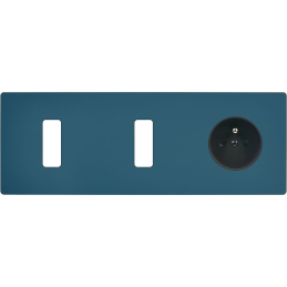 Switch plate 'M' Matt gray...