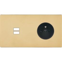 Switch plate 'M' varnished...