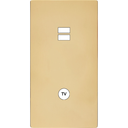 Switch plate 'M' varnished...