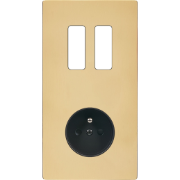 Switch plate 'M' varnished...