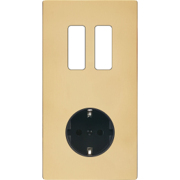 Switch plate 'M' varnished...