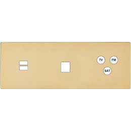 Switch plate 'M' varnished...