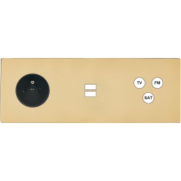 Switch plate 'M' varnished...