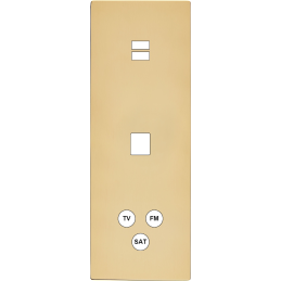 Switch plate 'M' varnished...