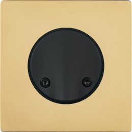 Switch plate "M" varnished...