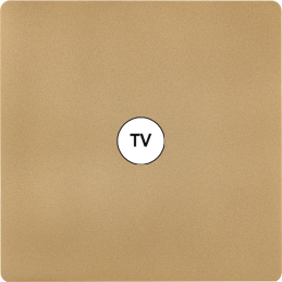 Placa del interruptor 'M'...