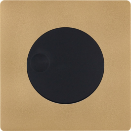 Switch plate 'M' brass sand...