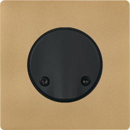 Façade 'M' laiton sable...