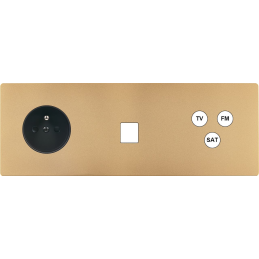 Switch plate 'M' brass sand...