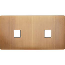 Switch plate 'M' brass Old...