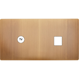 Façade 'M' Laiton Vieux...