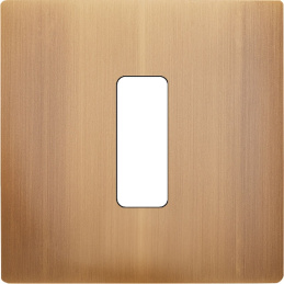 Switch plate 'M' brass Old...