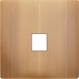 Switch plate 'M' brass Old...
