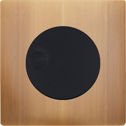 Façade 'M' Laiton Vieux...