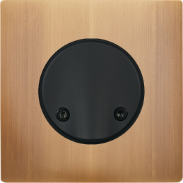 Switch plate 'M' brass Old...